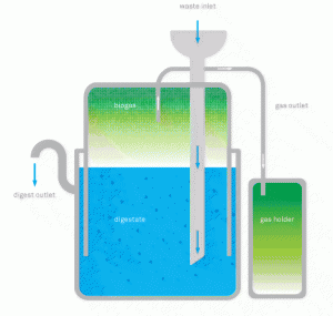 digestion_diagram2